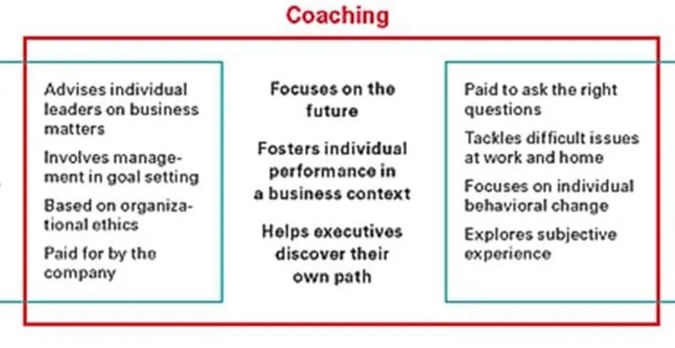 Eco-friendly business coaching session